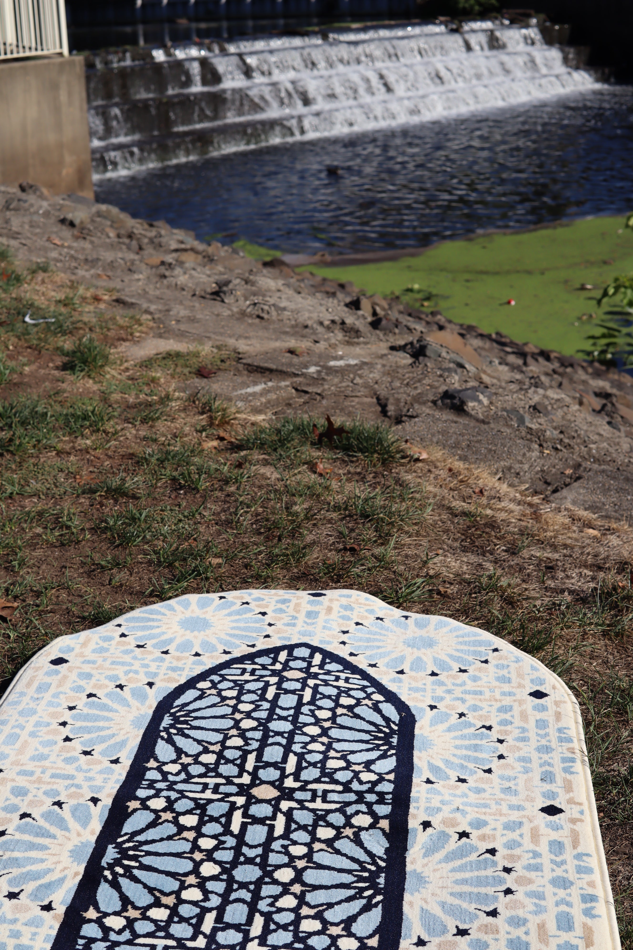 Medina Curved Carpet 0365-Cream by Burdaclothing