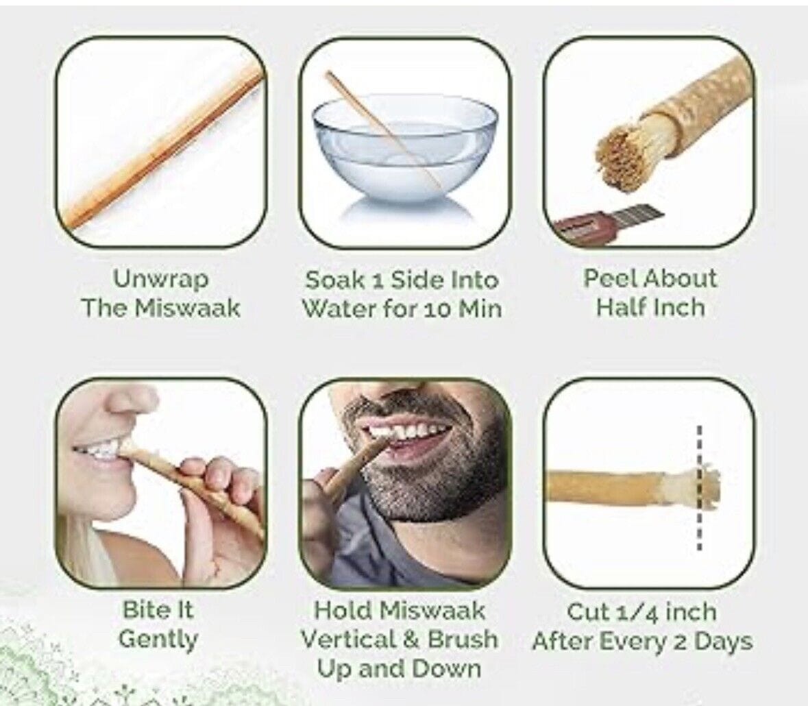 burdaclothing Al Khair Miswak Aswad Olive Tree 60PCS