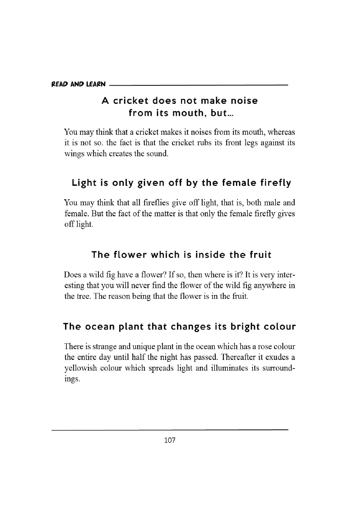 Burdaclothing Bed Time Stories (Set of 5)