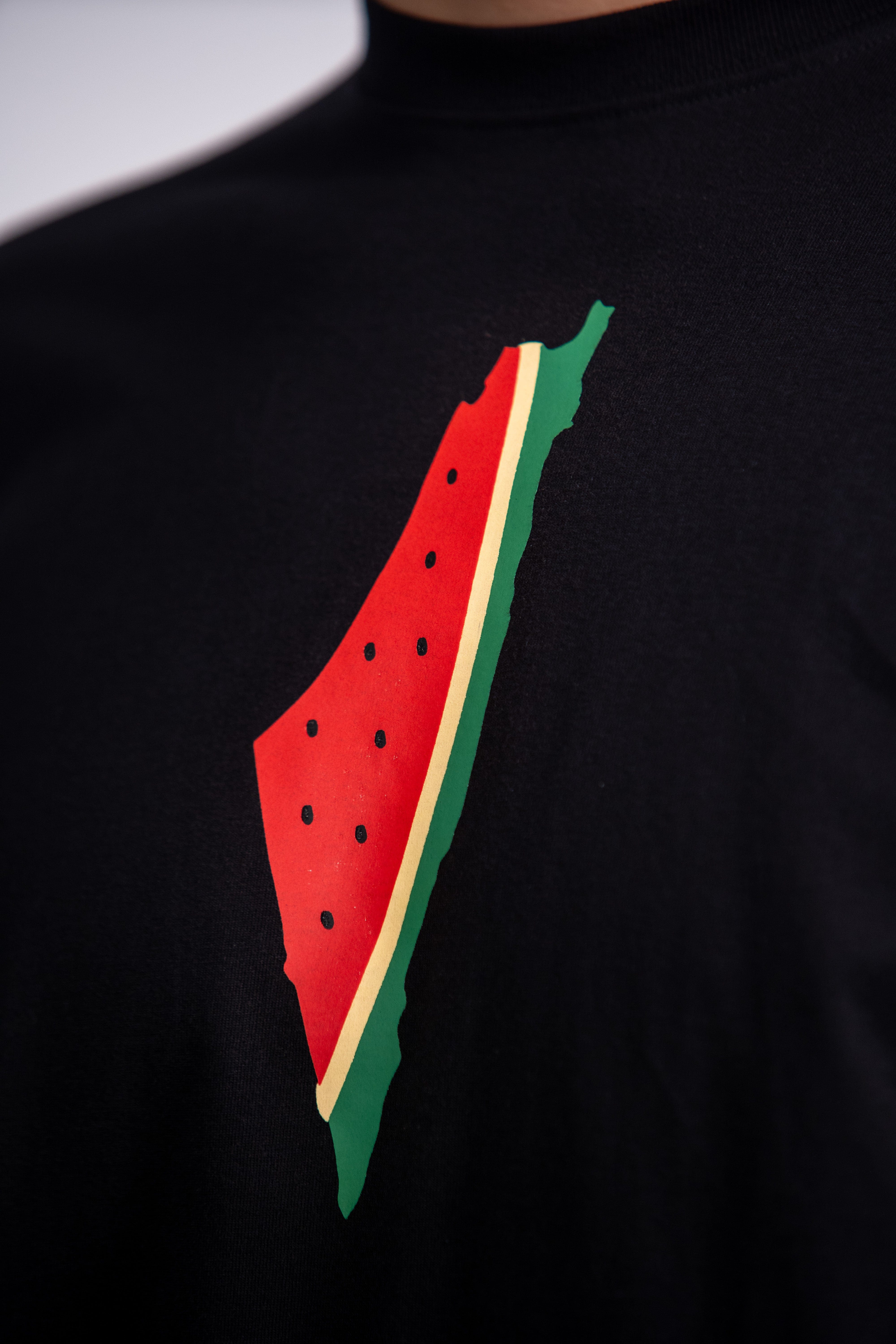 Burdaclothing Palestine T-Shirt